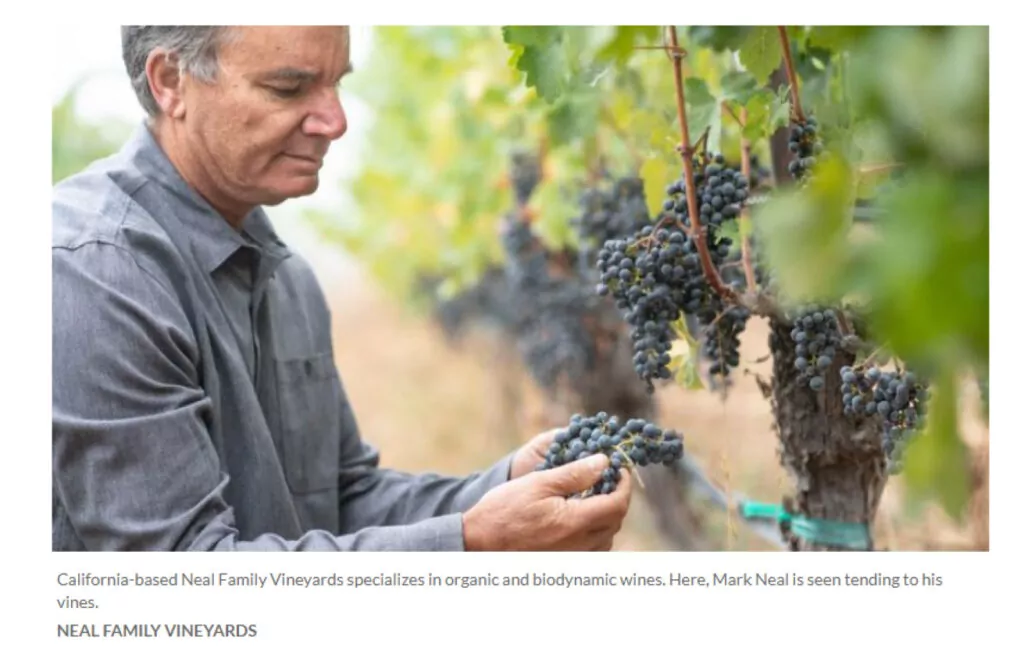 Mark Neal in the vineyards at his Howell Mountain Winery